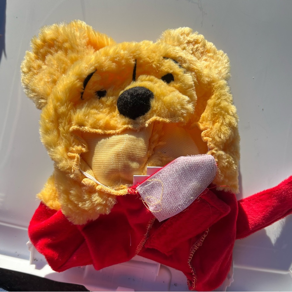 Disney Pooh dog costume